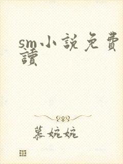 sm小说免费阅读封面