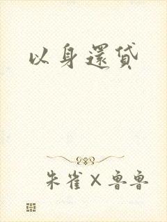以身还贷封面