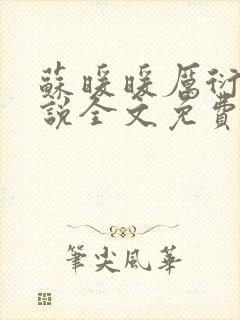 苏暖暖厉衍琛小说全文免费阅读