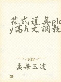 花式道具play高h文调教