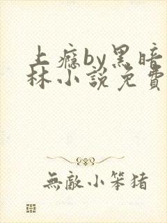 上瘾by黑暗森林小说免费封面