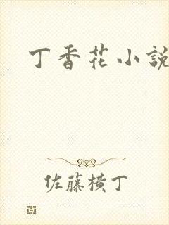 丁香花小说封面