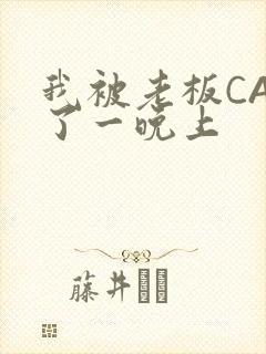 我被老板CAO了一晚上封面