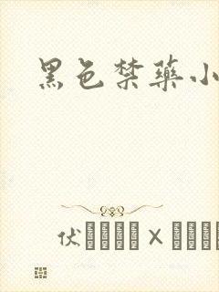 黑色禁药小说