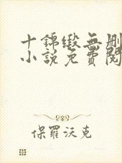 十锦缎无删原著小说免费阅读