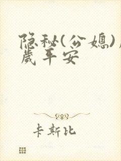 隐秘(公媳)岁岁平安封面