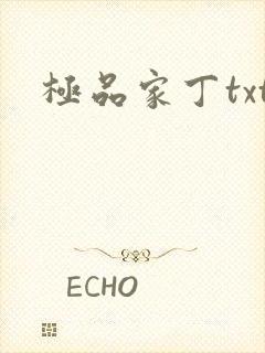 极品家丁txt
