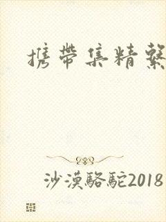 携带集精系统