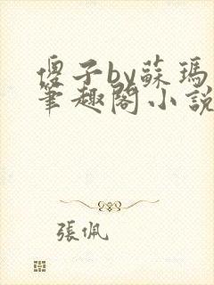 傻子by苏玛丽笔趣阁小说封面