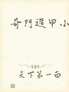奇门遁甲小说