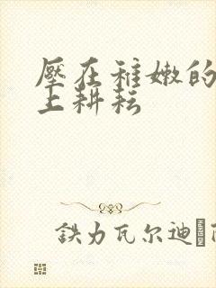 压在稚嫩的身体上耕耘