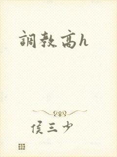 调教高h
