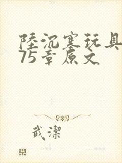 陆沉塞玩具高速75章原文