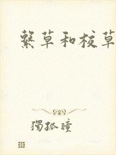 系草和校草