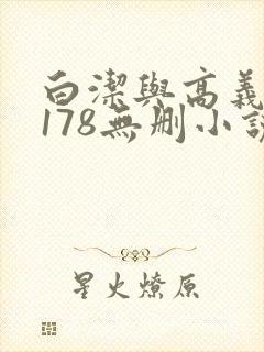 白洁与高义1～178无删小说封面