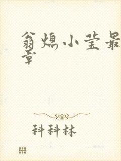 翁熄小莹最新节章封面