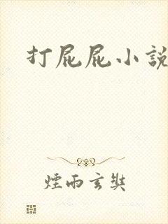 打屁屁小说