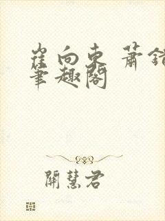 崔向东 萧错 笔趣阁