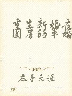 重生新婚夜正在圆房的军婚