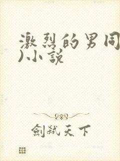 激烈的男同(h)小说