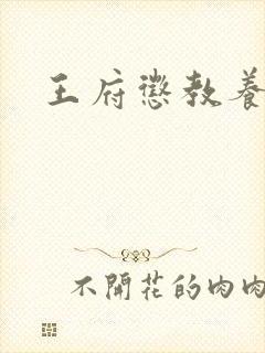 王府惩教养日常
