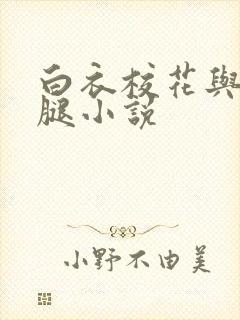 白衣校花与大长腿小说封面