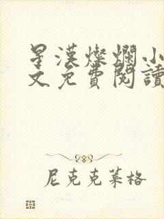 星汉灿烂小说全文免费阅读封面