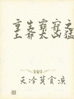 重生霸宠之摄政王爷太凶猛
