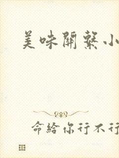 美味关系小说