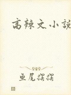 高辣文小说封面