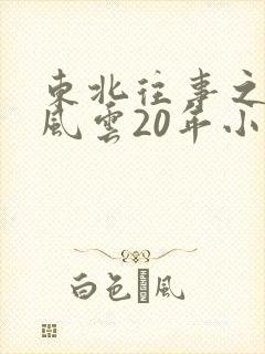 东北往事之黑道风云20年小说