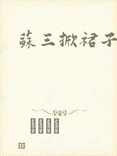 苏三掀裙子封面