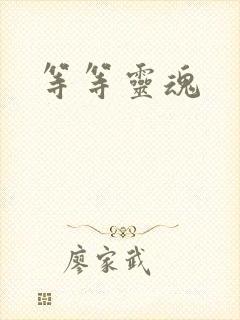 等等灵魂