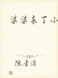 婆婆来了小说