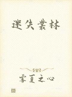 迷失丛林