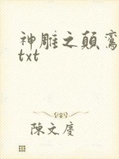 神雕之颠鸾倒凤txt
