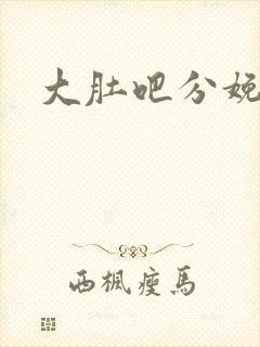 大肚吧分娩小说