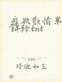 瘾欲欢愉半块小饼干tnt