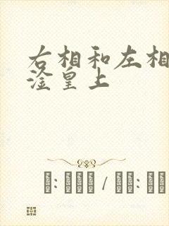 右相和左相一起淦皇上