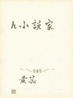 h小说家