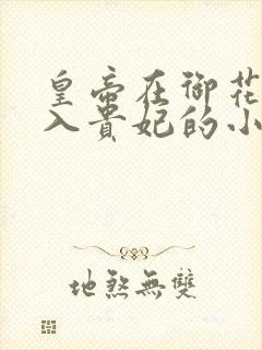 皇帝在御花园进入贵妃的小说