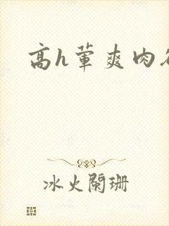 高h荤爽肉欲文