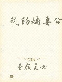 我的娇妻公务员