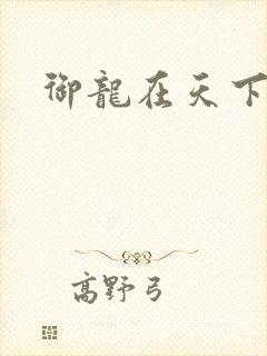 御龙在天下载封面