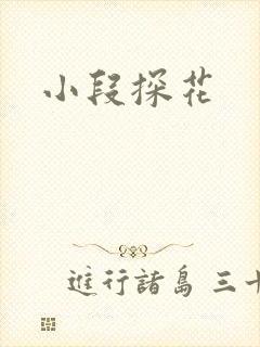小段探花