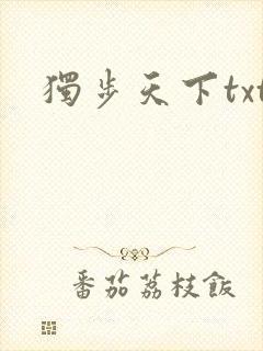 独步天下txt封面