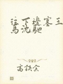 往下边塞玉器骑马沈驰