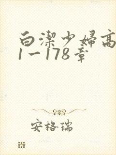 白洁少妇高义第1一178章封面