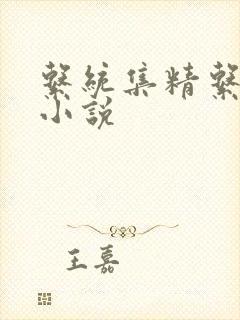 系统集精系统 小说封面