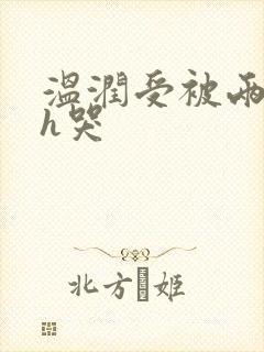 温润受被两个攻h哭封面